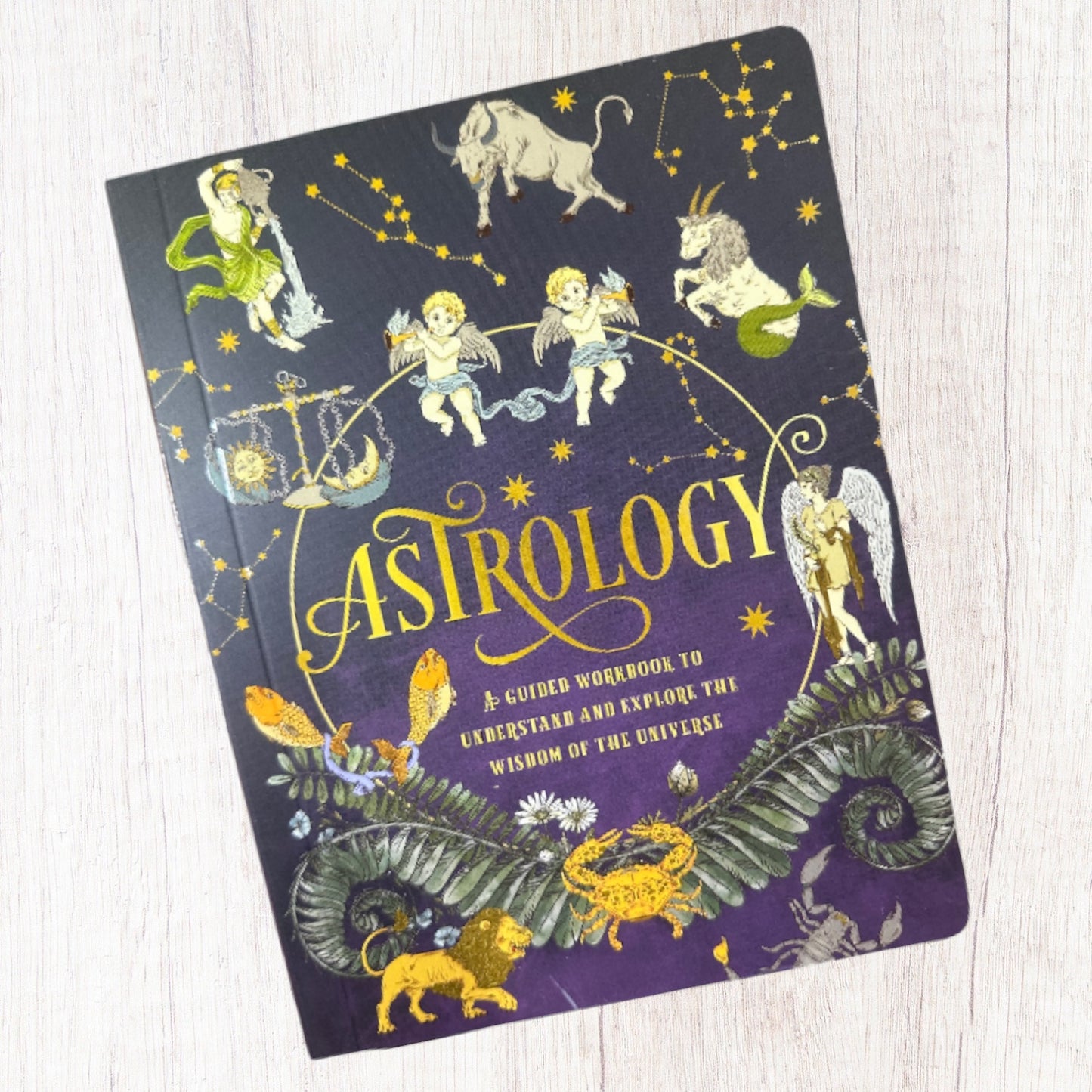 Astrology A Guided Workbook