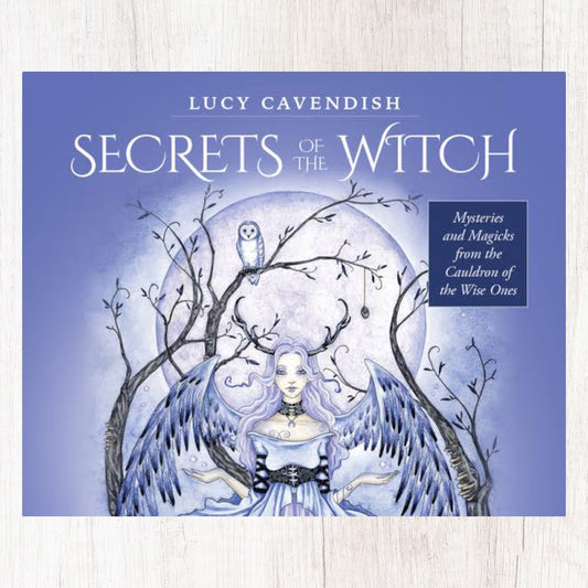 Secrets Of The Witch