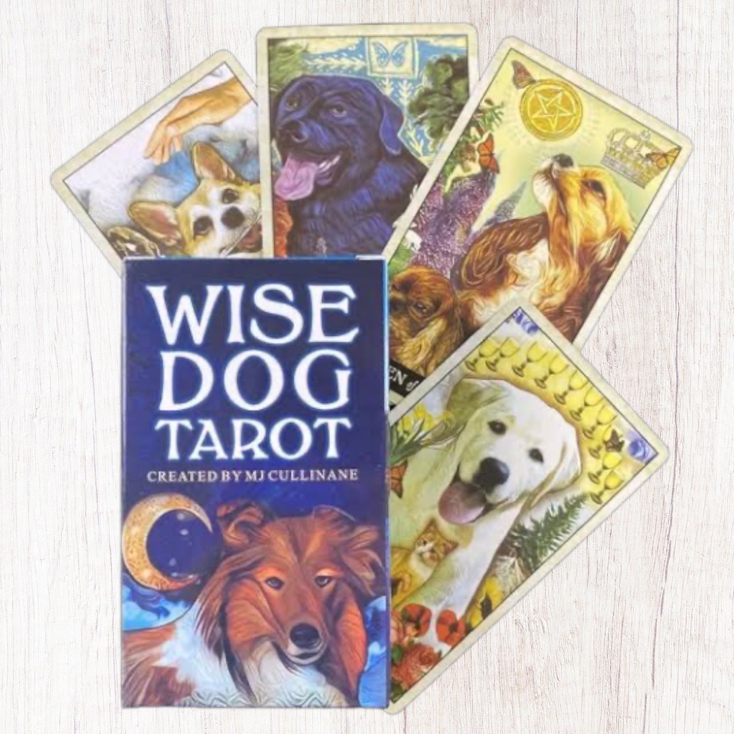 Wise Dog Tarot