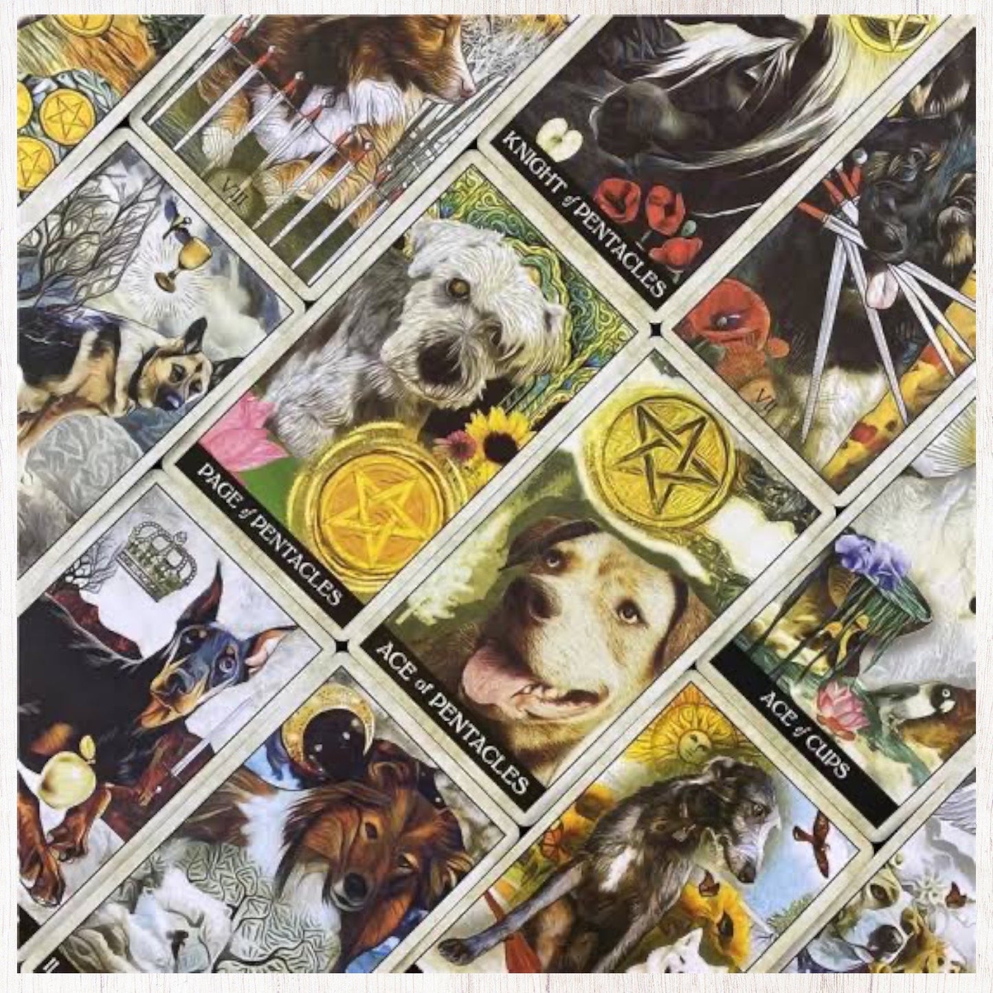 Wise Dog Tarot