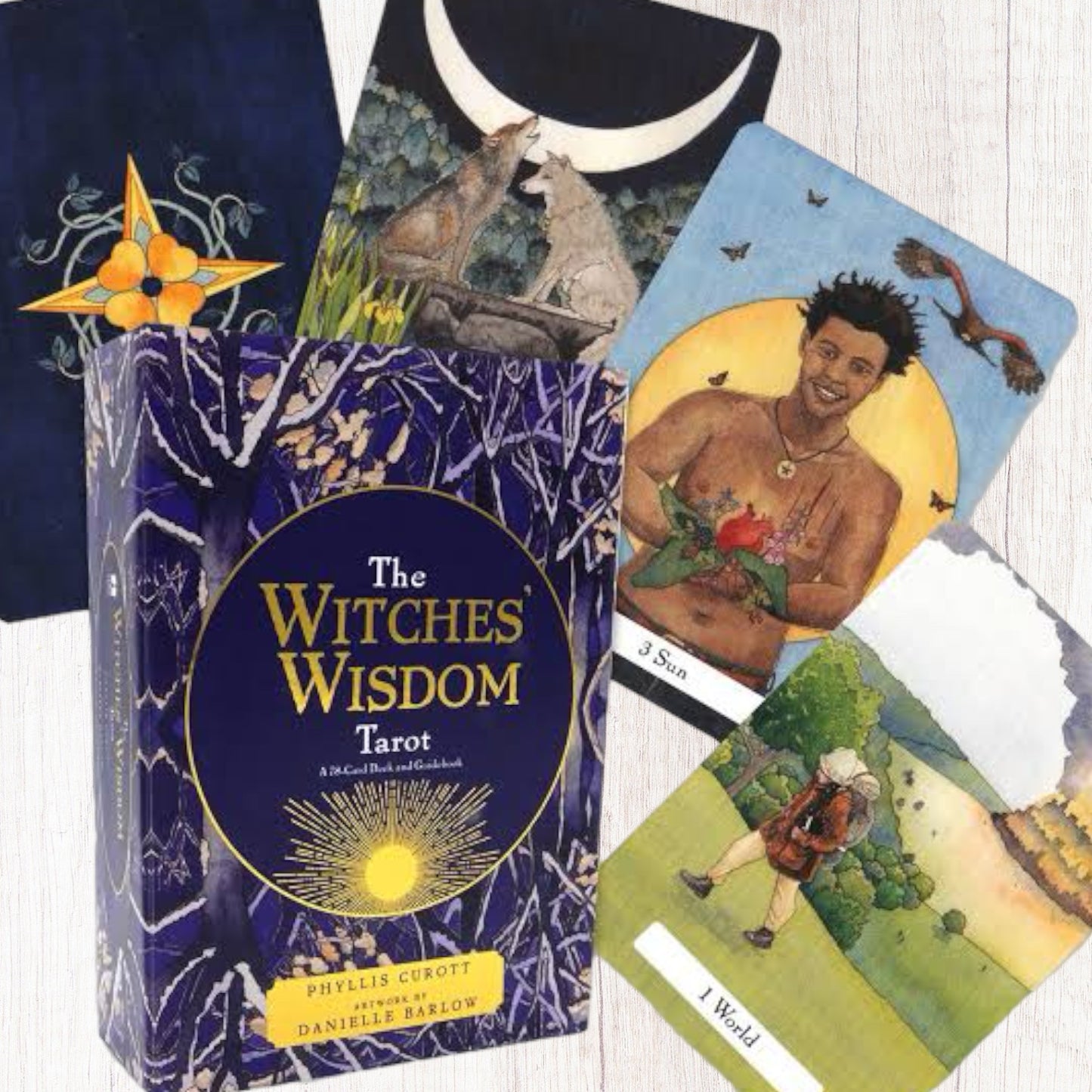 The Witches Wisdom Tarot Deck