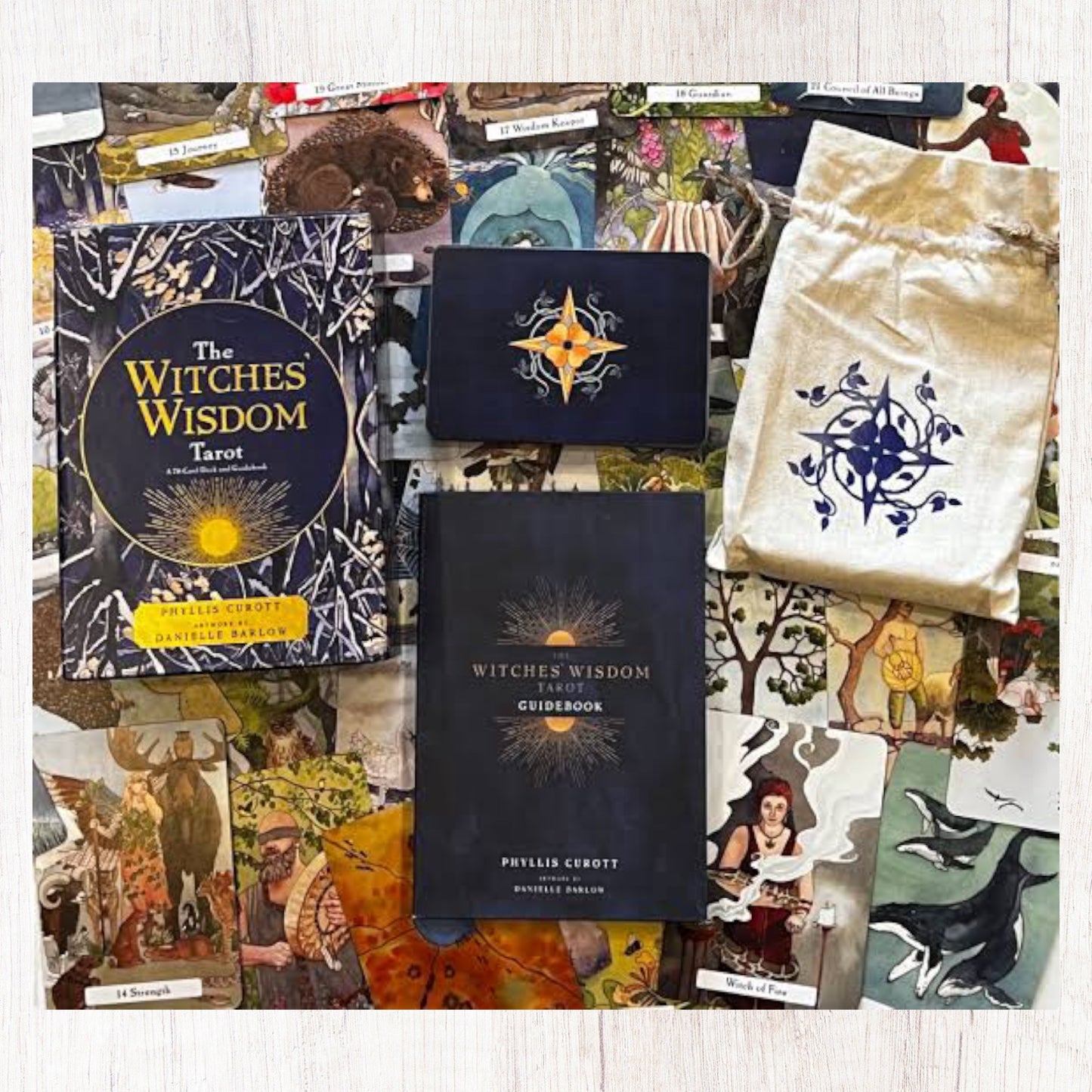 The Witches Wisdom Tarot Deck