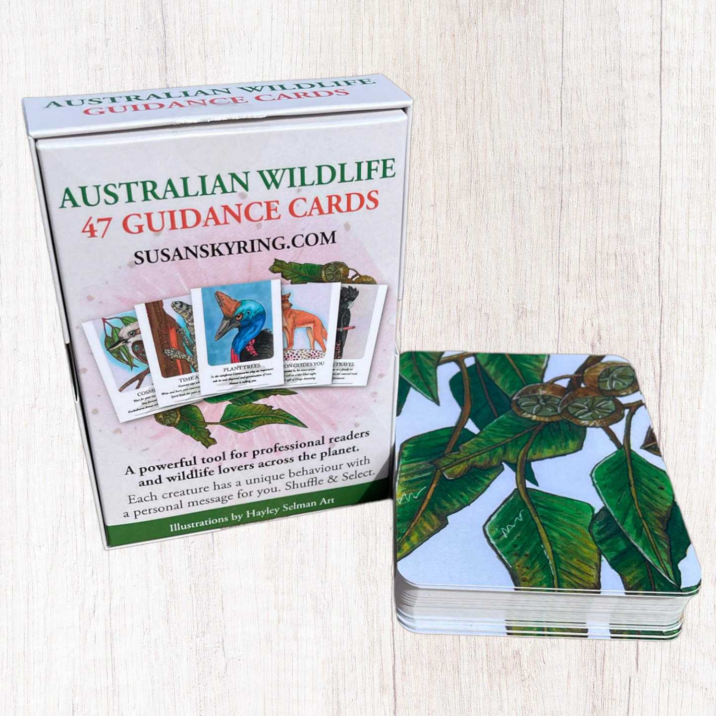 Australian Wildlife Guidance Cards